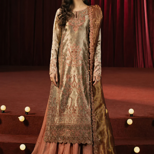 Asim Jofa Embroidered Zari Tissue Suits Unstitched 3 Piece AJ25PF AJPF-16 - Festive Collection